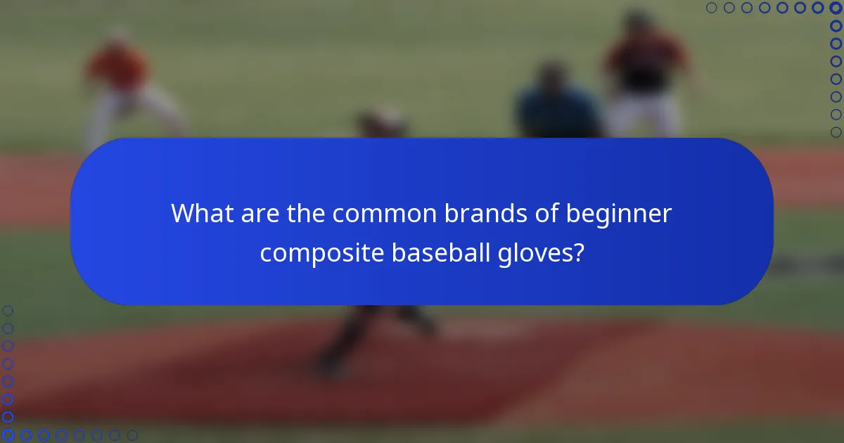 What are the common brands of beginner composite baseball gloves?