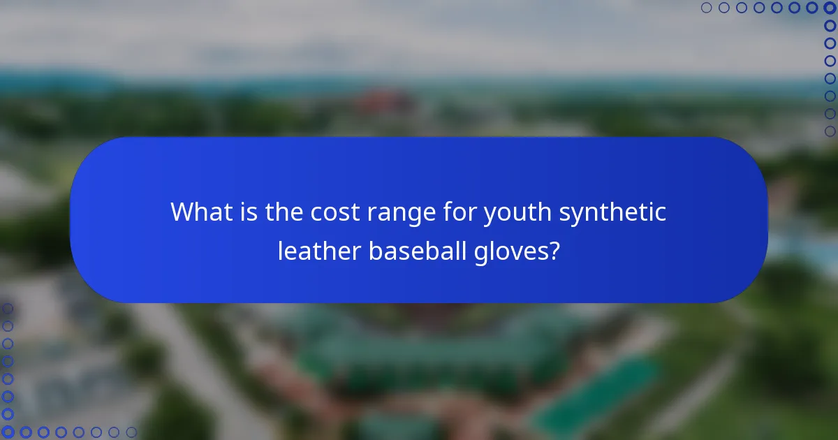 What is the cost range for youth synthetic leather baseball gloves?