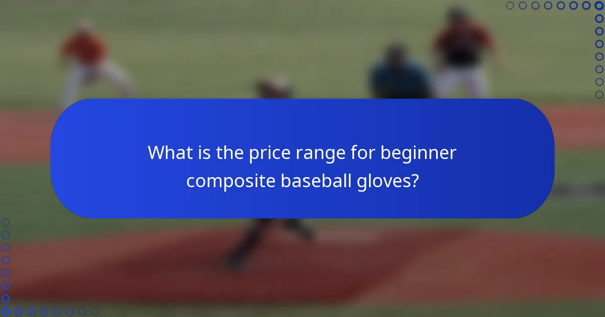 What is the price range for beginner composite baseball gloves?
