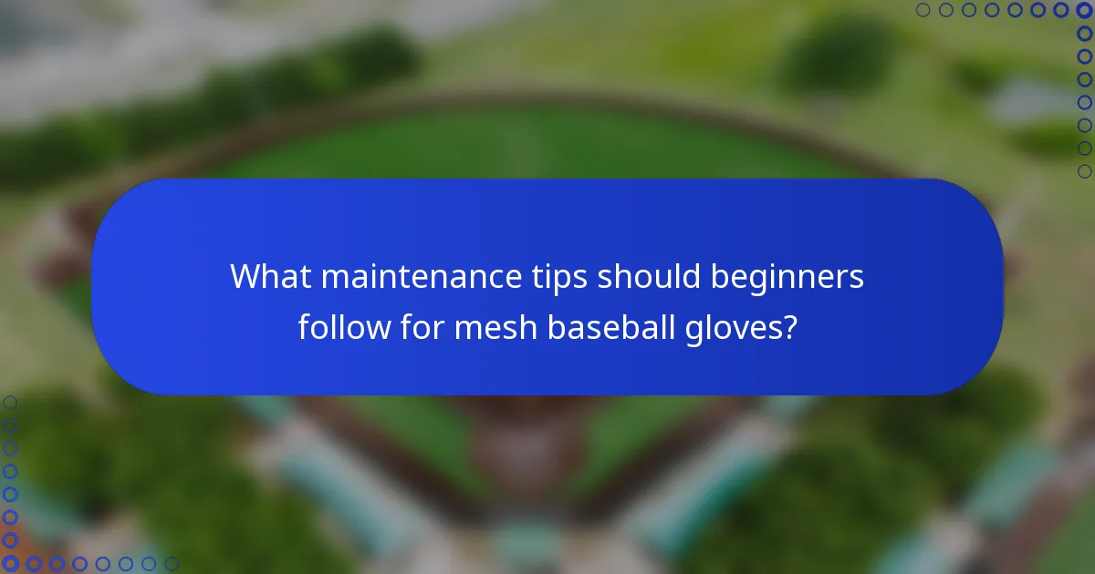 What maintenance tips should beginners follow for mesh baseball gloves?