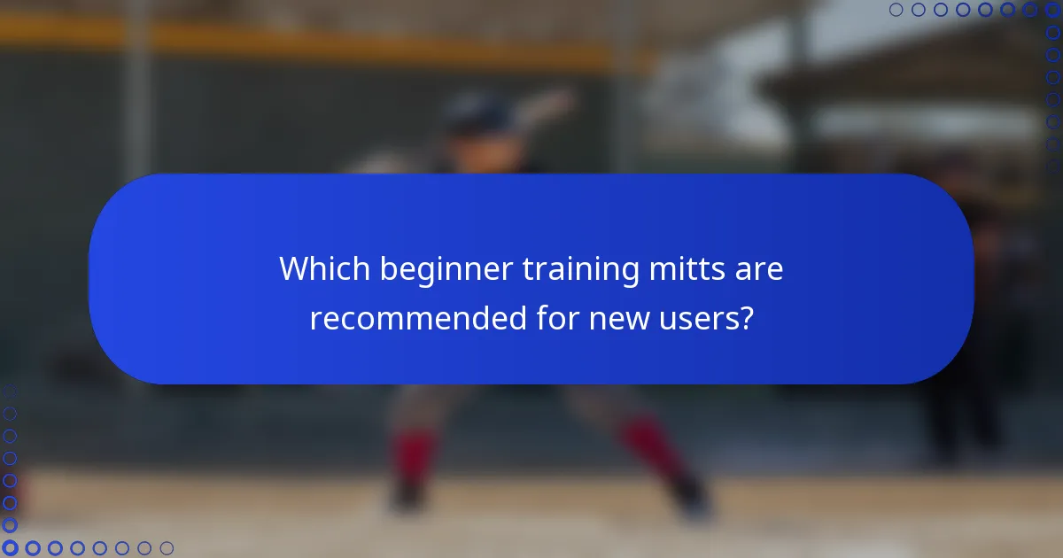 Which beginner training mitts are recommended for new users?
