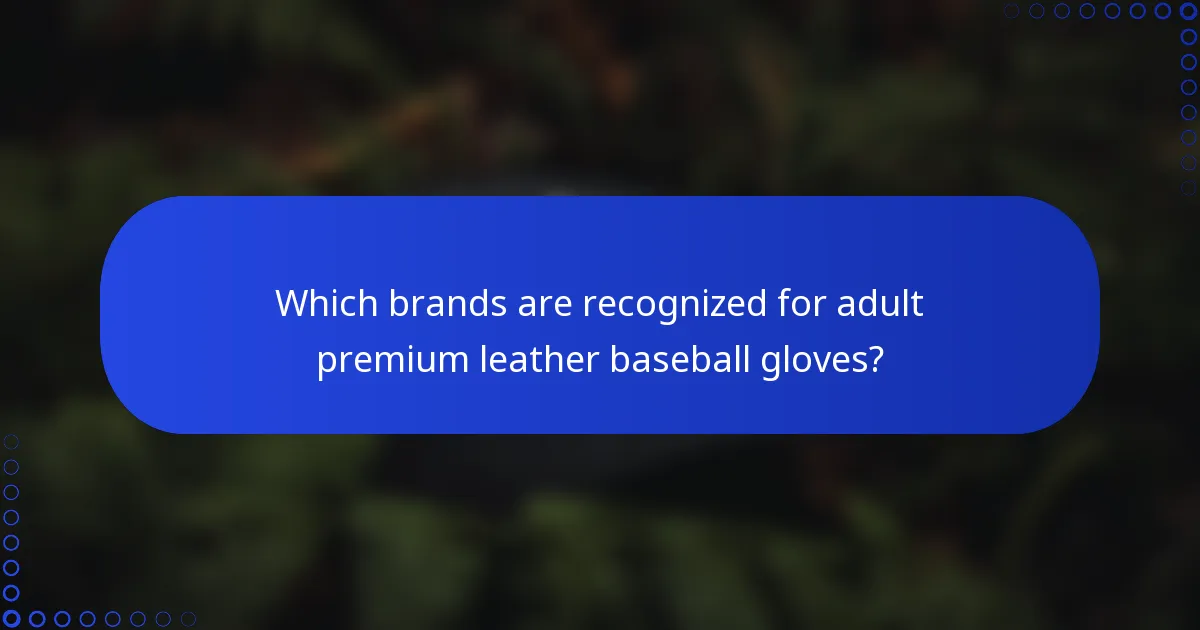 Which brands are recognized for adult premium leather baseball gloves?