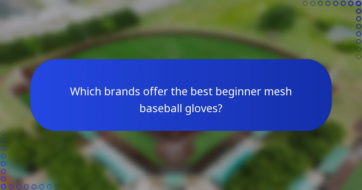 Which brands offer the best beginner mesh baseball gloves?