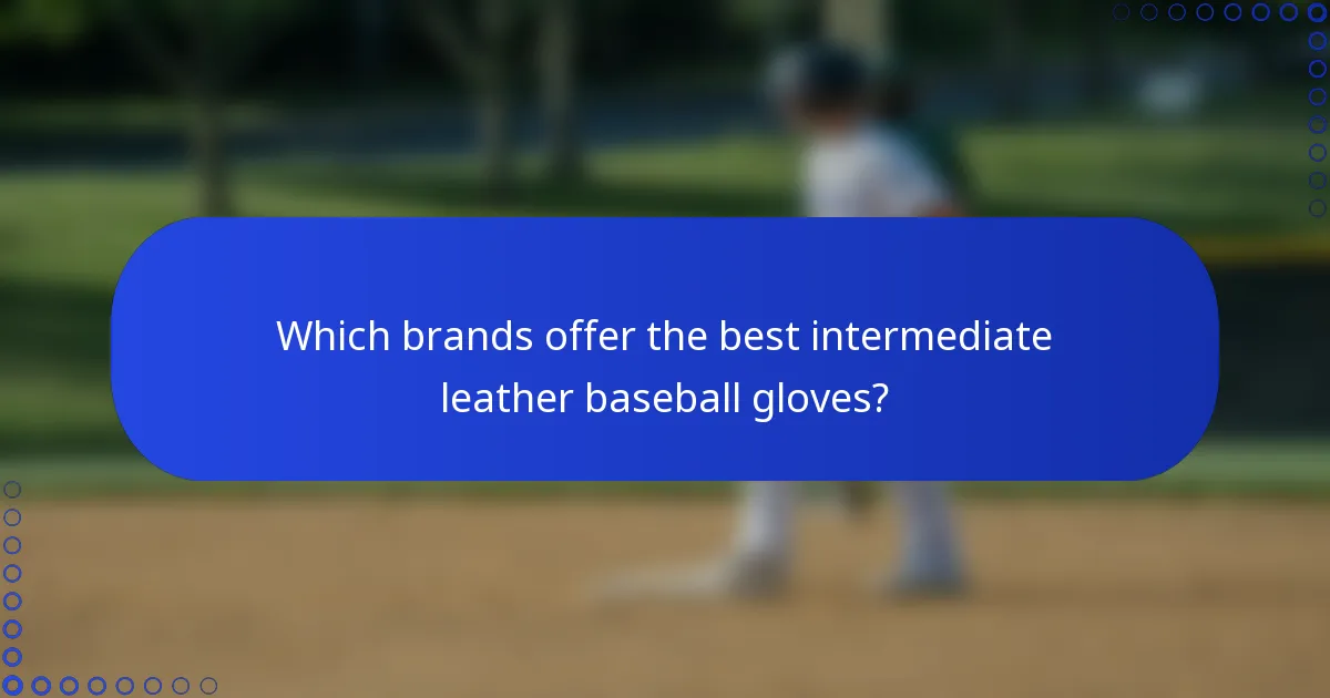 Which brands offer the best intermediate leather baseball gloves?