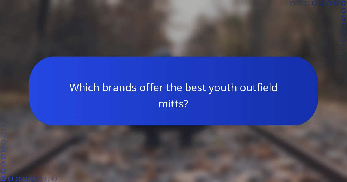 Which brands offer the best youth outfield mitts?